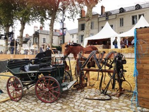 Myloire-valley-festvial-de-loire-2013 (62)