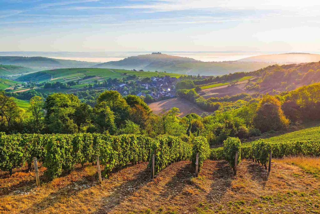 Vignoble Sancerre Berry