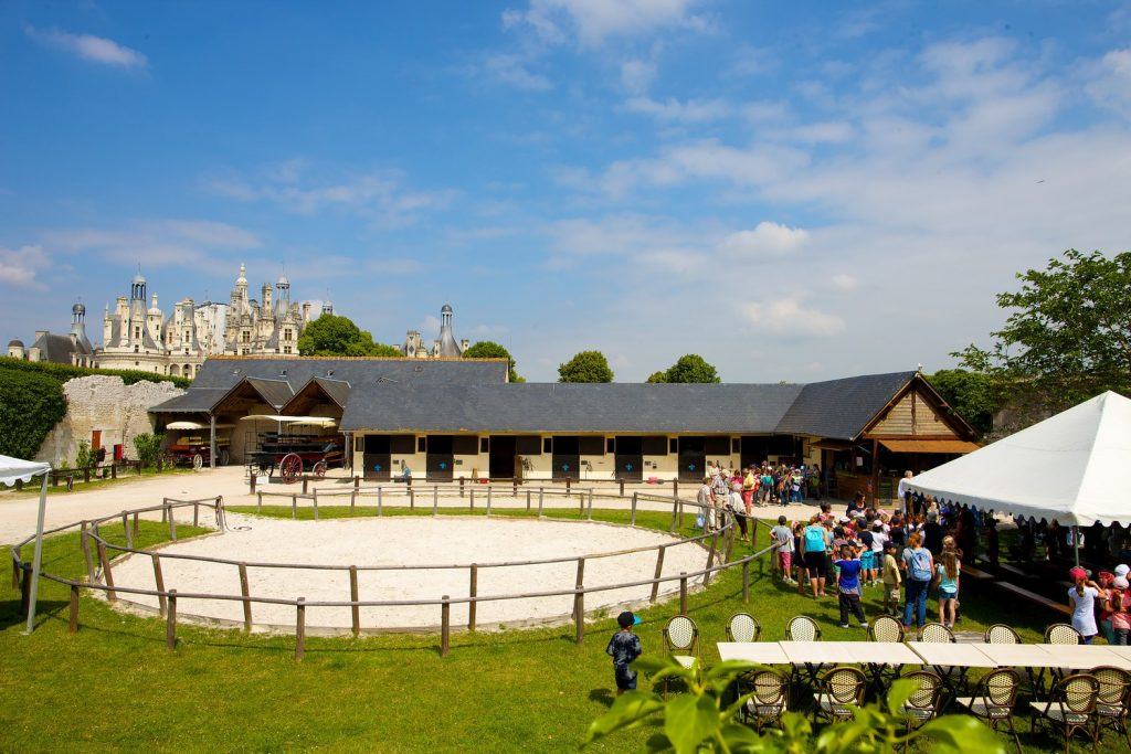 spectacle-equestre-chambord-ecuries-marechal-de-saxe-ludovic-letot