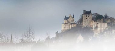 Sapins d’Hiver, sapins divers à la Forteresse royale de Chinon