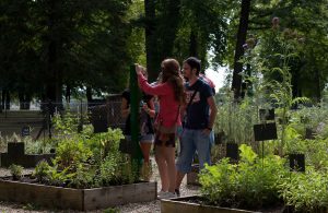 chateau-de-valencay-jeu-senteurs-jardin-antonin