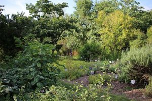 Jardin Botanique credits to GrandCelinien - My Loire Valley