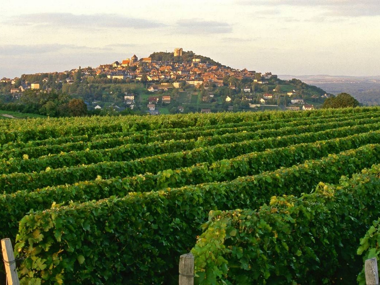 Vignobles de Sancerre - Vos vacances en Berry