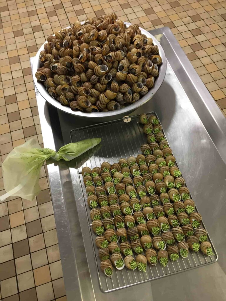 loiret-escargots-preparation