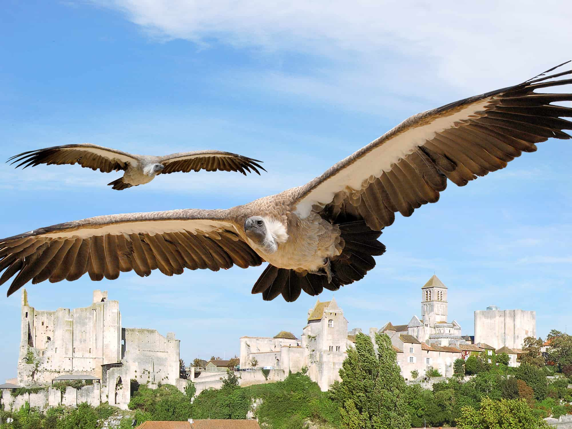 les geants du ciel a chauvigny © ATV