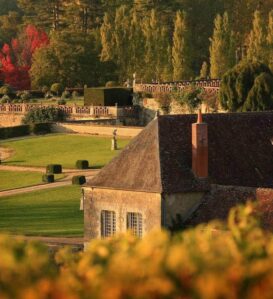 vendanges-chateau-valmer-leodeserres