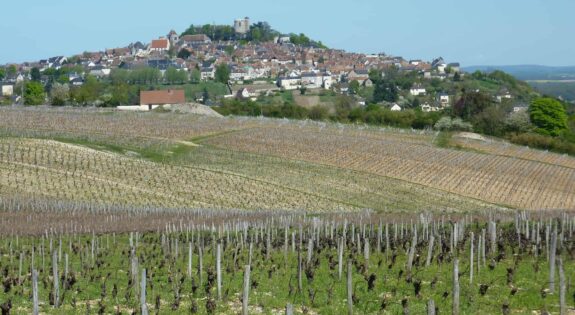 sancerre