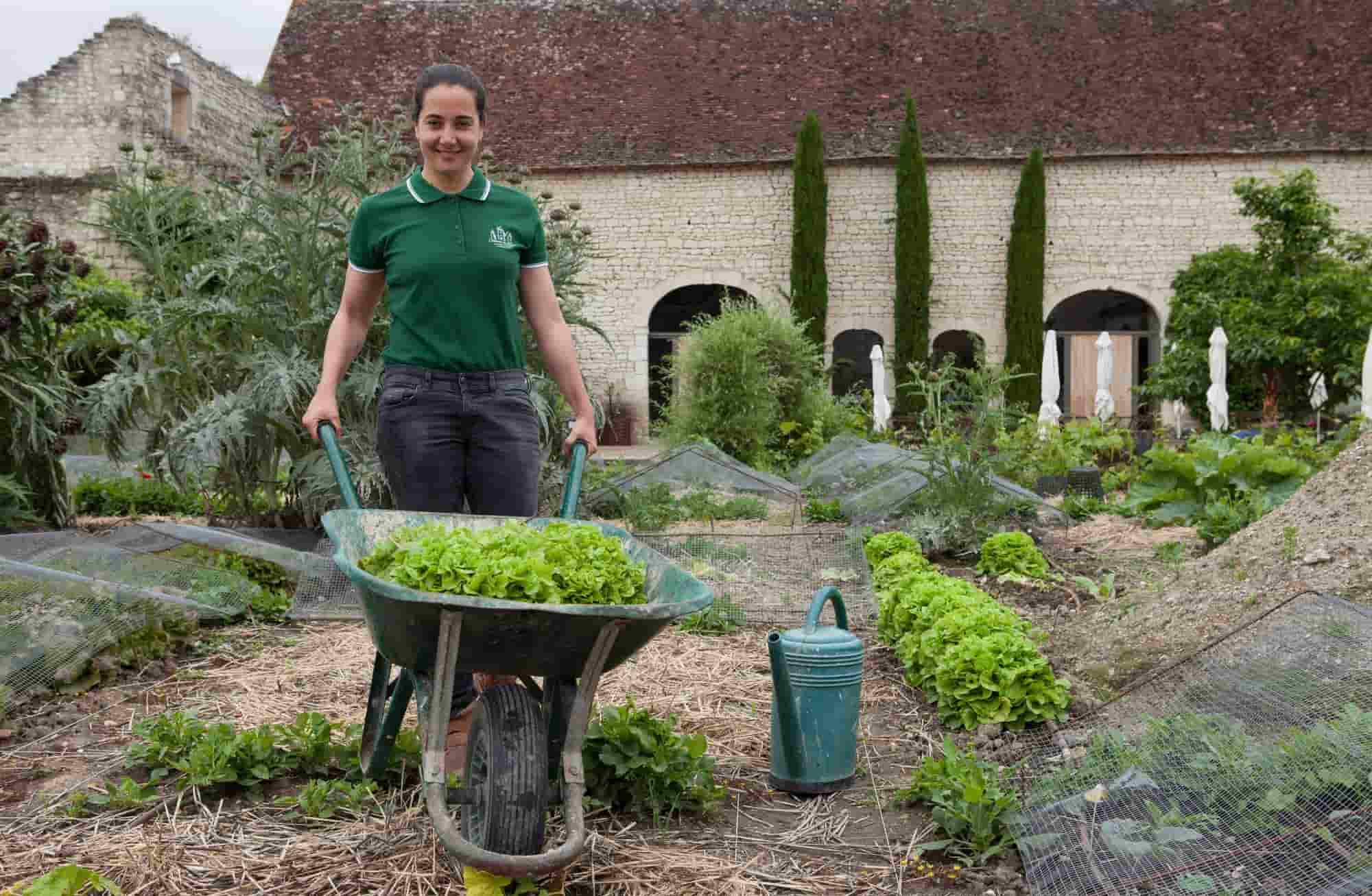 Potager du château