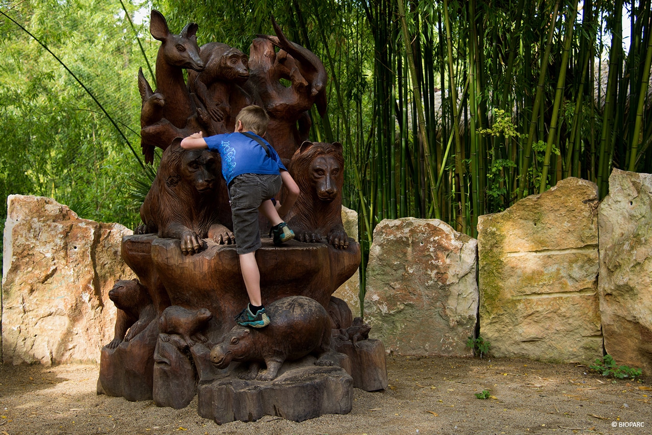 bioparc de doué la fontaine zoo en anjou