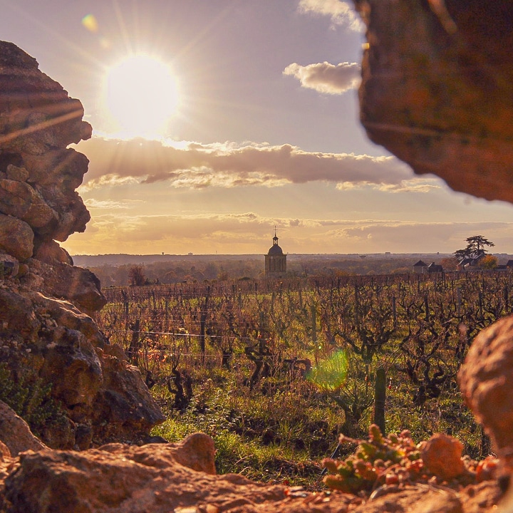 route-des-vins-olivier-prt