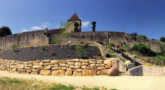 Remparts Cercy-la-Tour