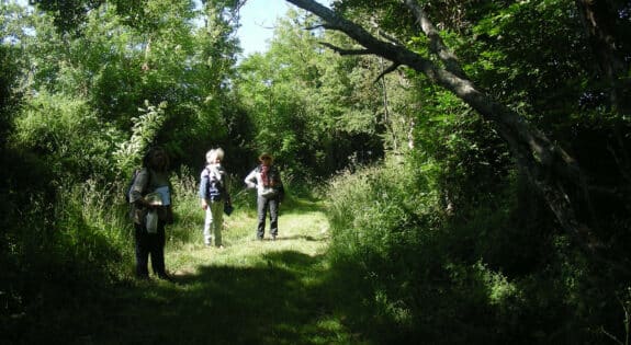 Sentier rural et botanique