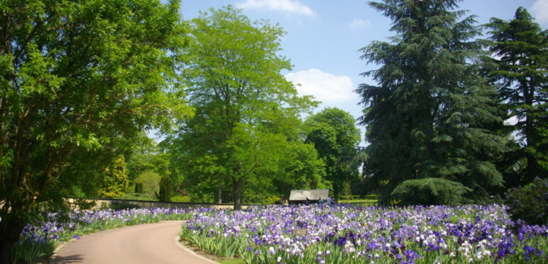 Allée fleurie au parc floral d'Orléans la source