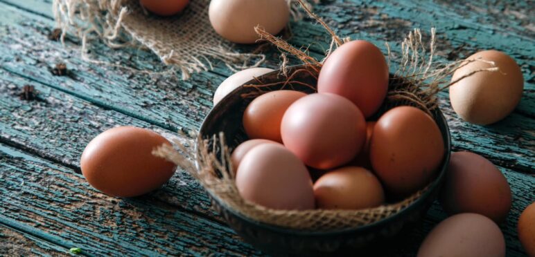 oeufs au jambon du morvan