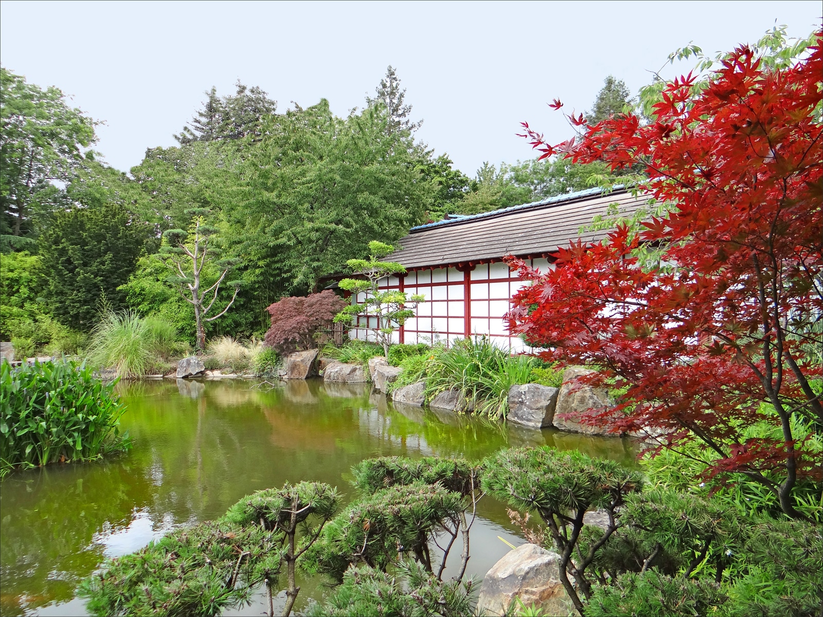 Jardin Japonais Ile versailles nantes - c- Jean-Pierre-Dalbéra