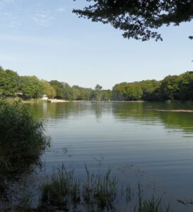 Etang Grenetier