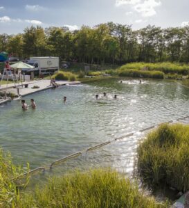 bassin extérieur naturéo