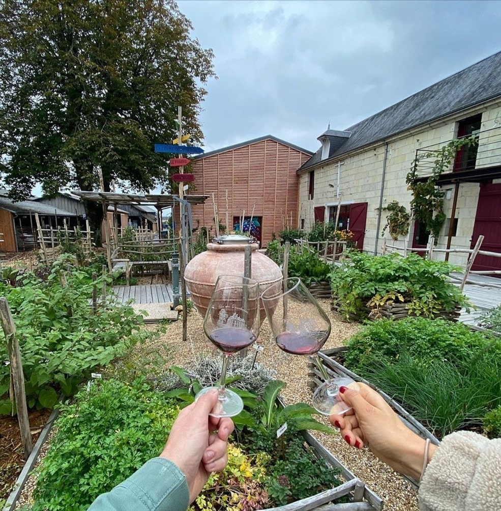 Domaine AOC Saint Nicolas de Bourgueil