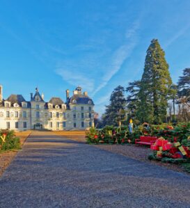 Noël au château de Cheverny