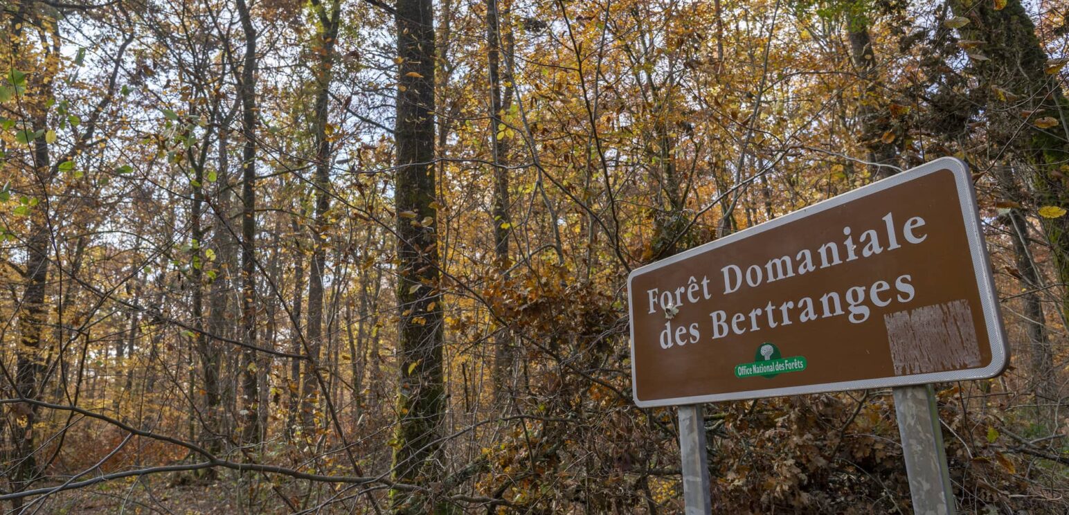 Forêt des Bertranges