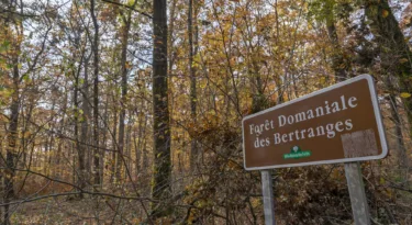 Forêt des Bertranges