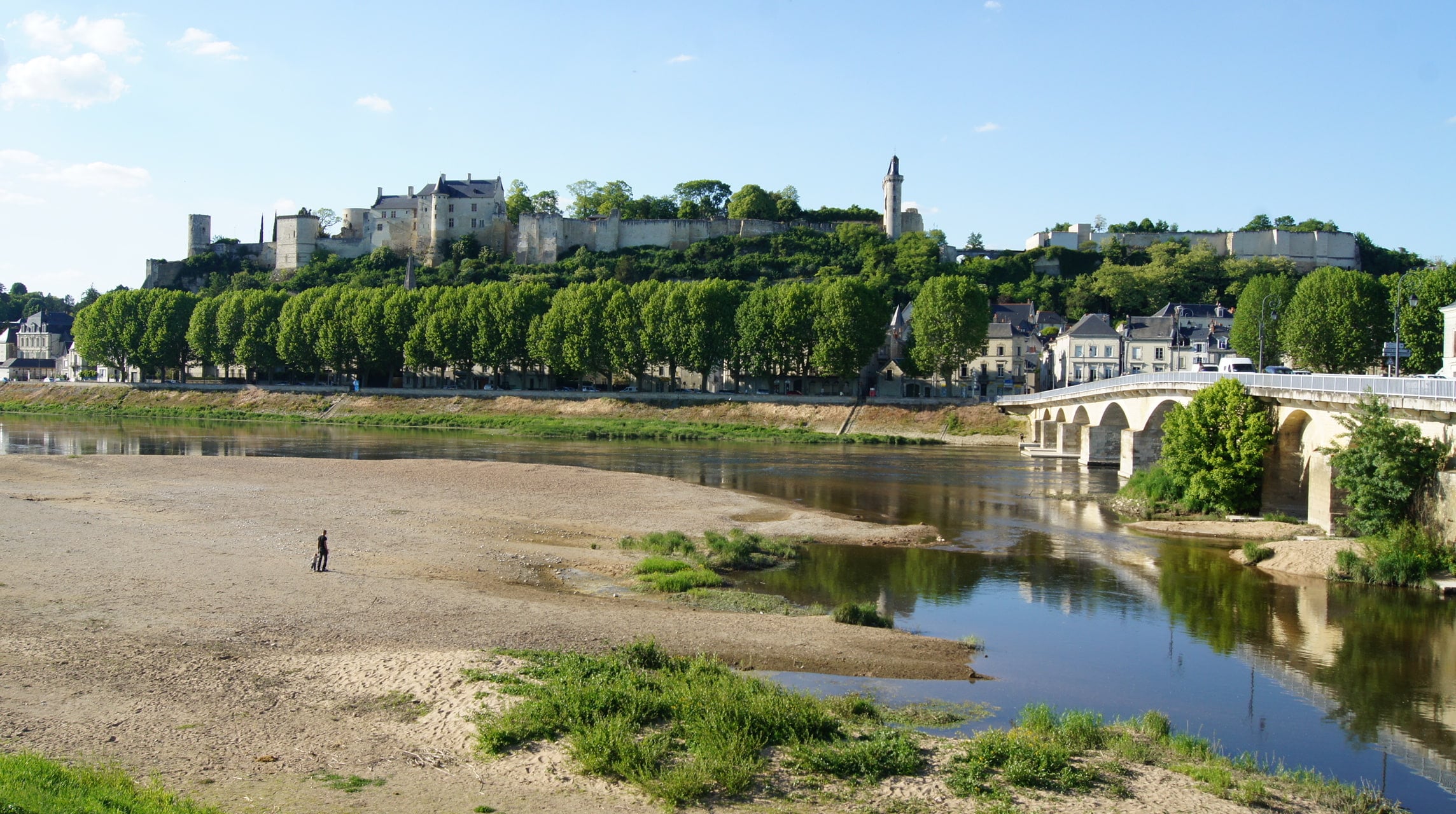 Chinon