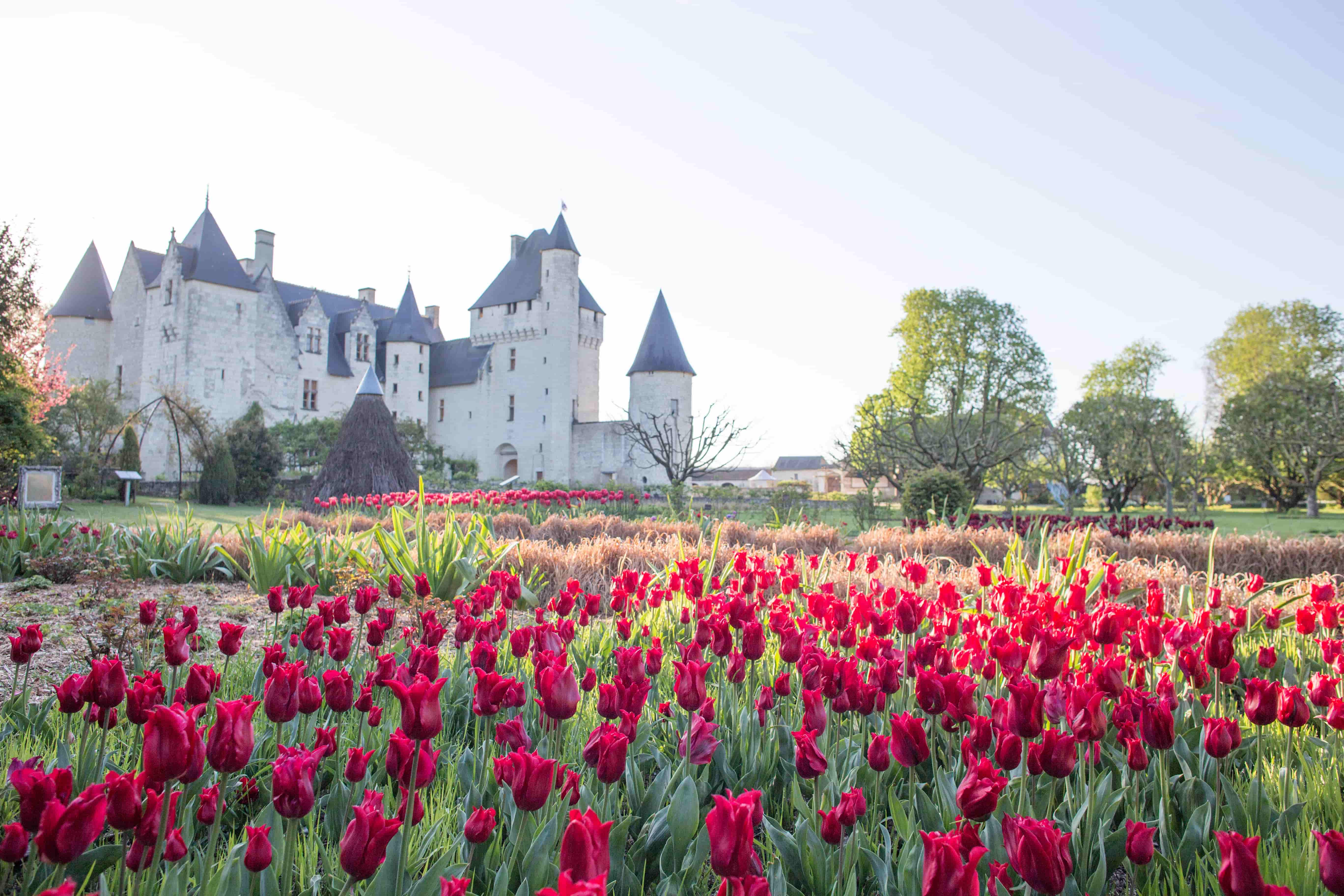 Château du Rivau