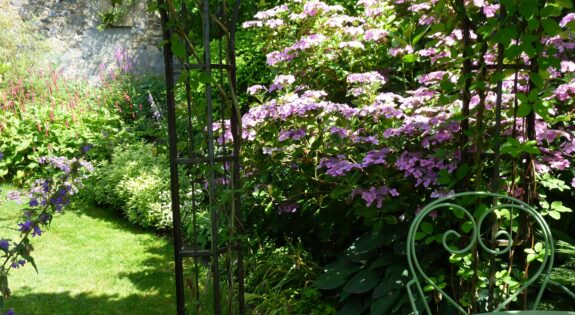 Le jardin de Ginette