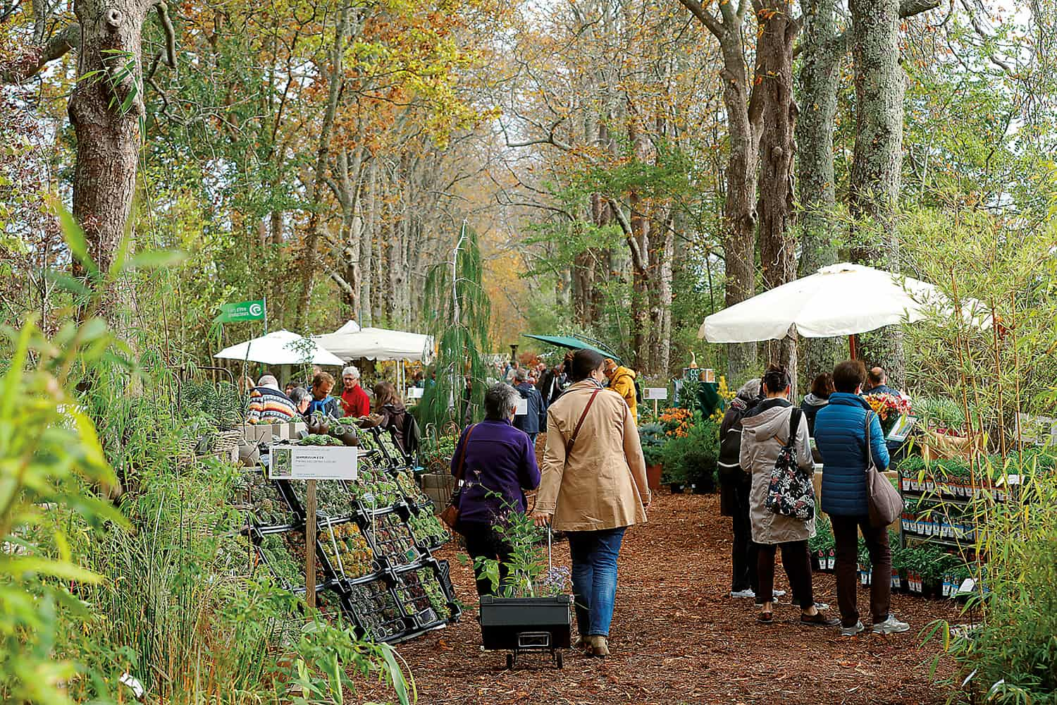 Botaniques de Chaumont-sur-Loire