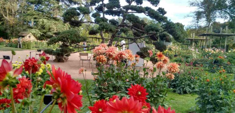 Parc floral de la Source Orléans