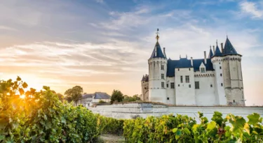 Le château de Saumur