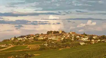 Sancerre dans le Cher