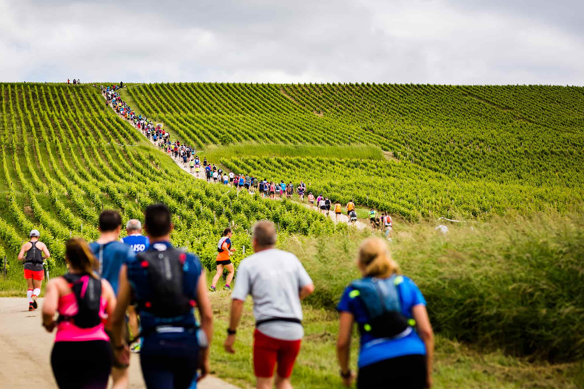 Trail de Sancerre