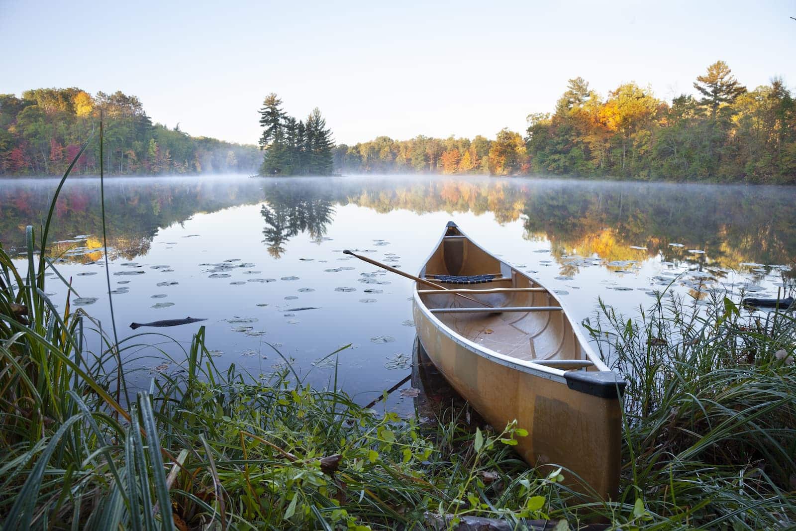 Canoë dans un lac