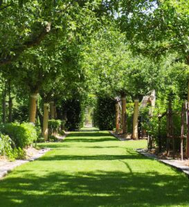 Les jardins du Prieuré d'Orsan