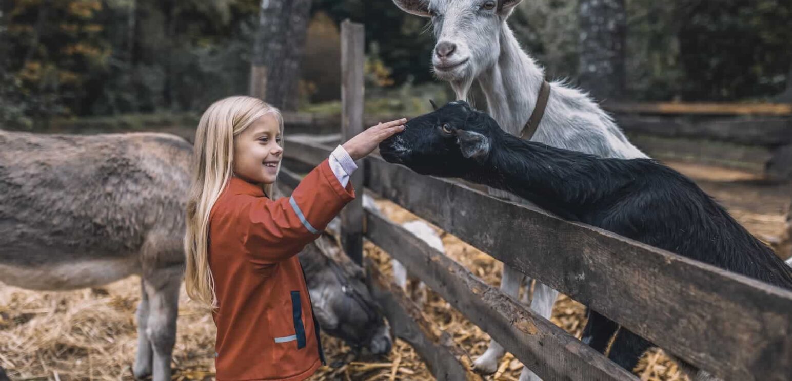 Enfant animaux de la ferme