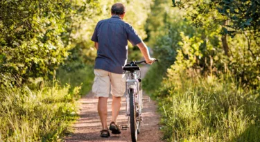 Vélo forêt