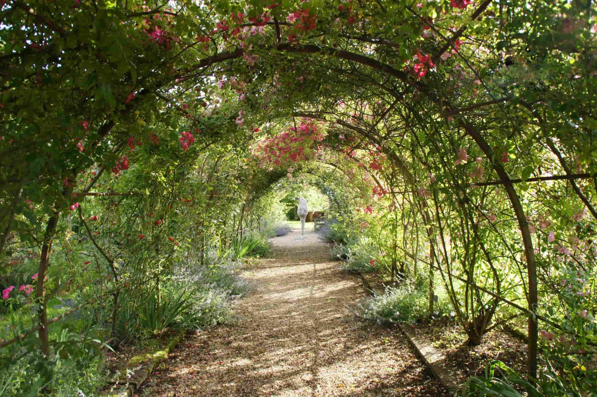 le jardin de Marie