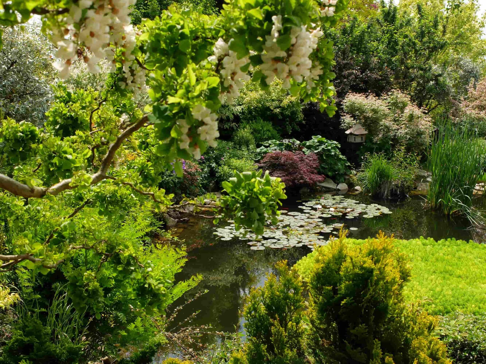 le jardin de Marie