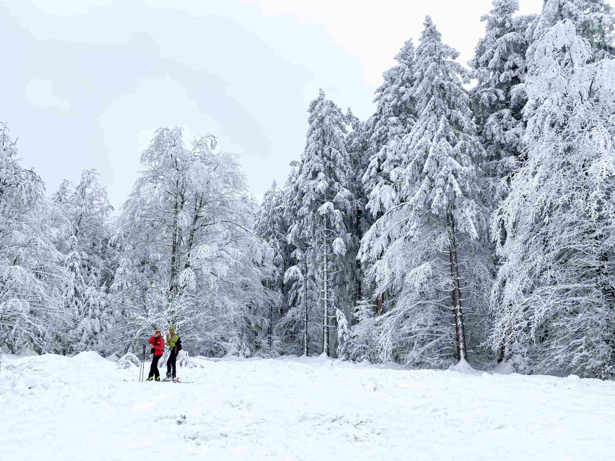 Haut Folin en hiver Nièvre