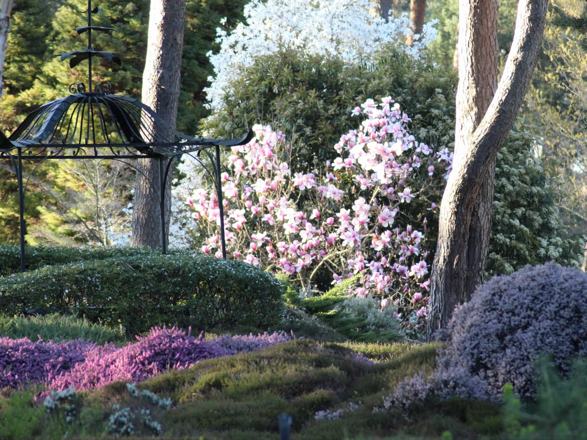 arboretum en val de loire arboretum des grandes bruyeres