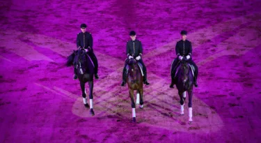 Gala du Cadre noir de Saumur