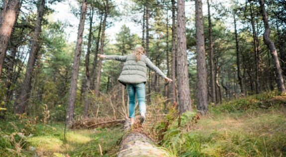 Forêts en Maine-et-Loire