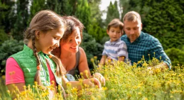 rendez-vous aux jardins 2023