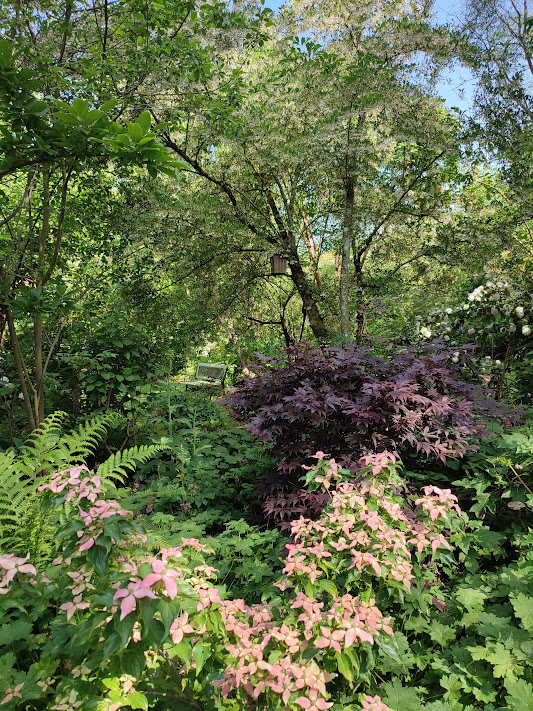 Jardin de Chantal