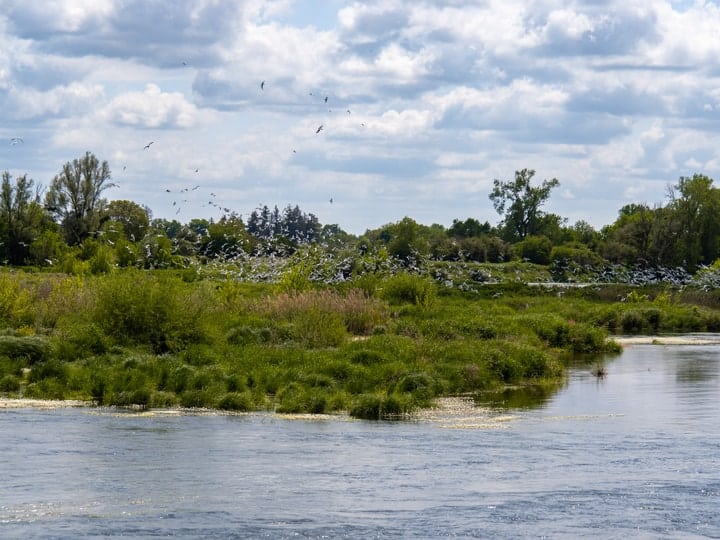 Les Rives de Beaugency