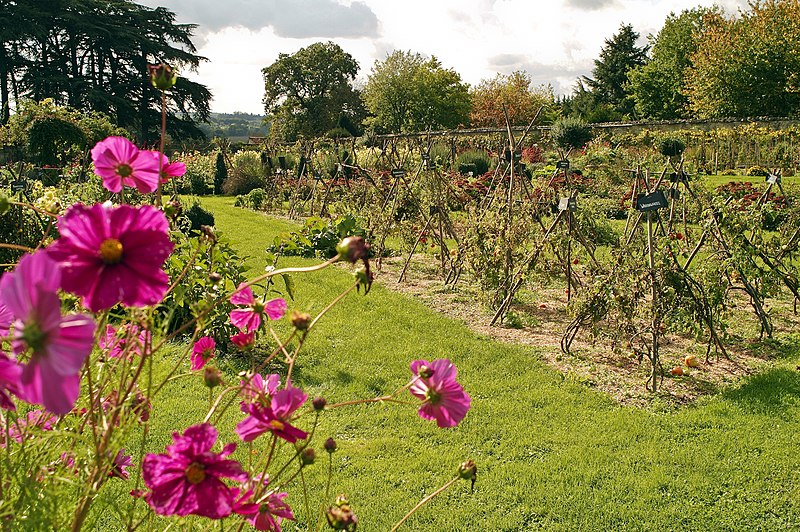 Jardins du château de la Bourdaisière