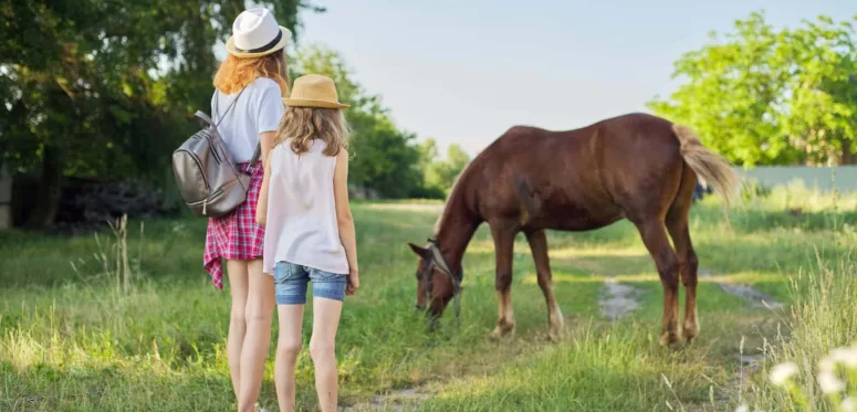 Se régaler dans le Poitou