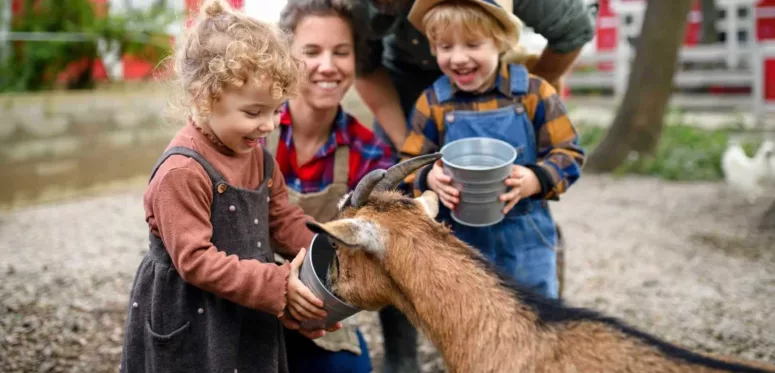 samedi à la ferme