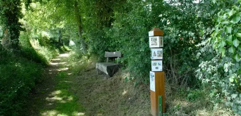 sentier ludique Herbes folles et légumes sages